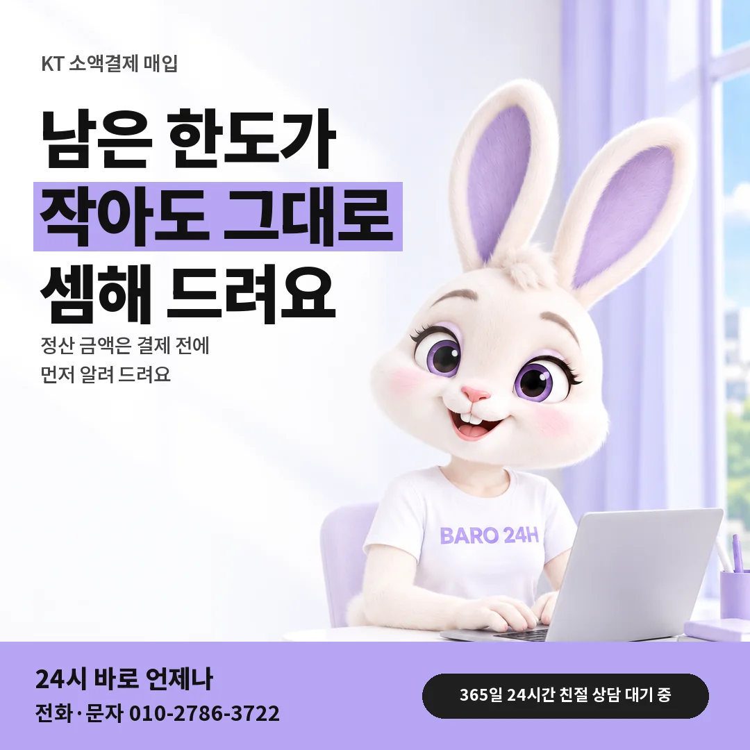 BARO 24H 티셔츠를 입은 3D 토끼 캐릭터 옆에 「KT 소액결제 매입 한도 크기 안내」 제목을 얹은 안내 카드