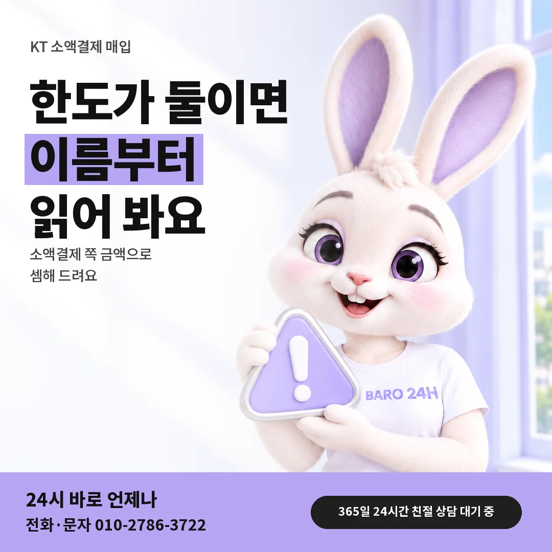 주의 표지판을 든 BARO 24H 티셔츠를 입은 3D 토끼 캐릭터 옆에 「KT 정보이용료 한도와 구분」 제목을 얹은 안내 카드